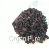 Dried Mulberry