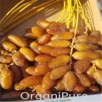 Dried Dates