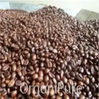 Robusta Coffee Roasted Bean