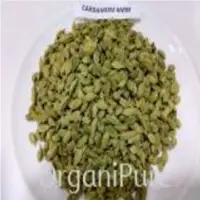 Cardamom