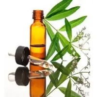 Terpineol Oil