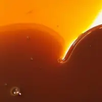 Used Cooking Oil