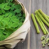 Moringa