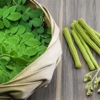 Moringa