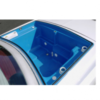 Automobile Tempered Glass