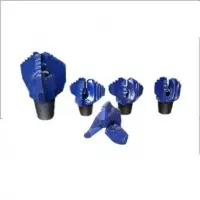 Drag Bit