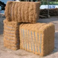 Coconut Fiber