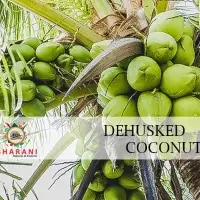 De- Husked Coconut
