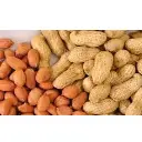 Peanuts With Shell