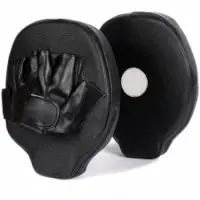 Focus Mitts