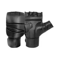 	MMA Gloves