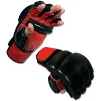 	MMA Gloves