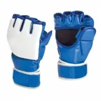 MMA Grappling Glove