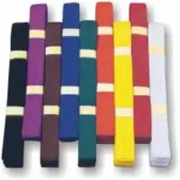 Belts