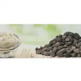 Shea Butter