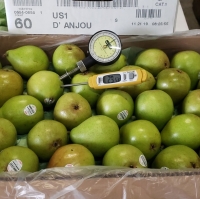Pears