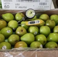 Pears