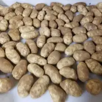 Fresh Potatoes