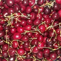Fresh Cherries