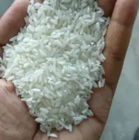 Non Basmati Rice - New Crop Sona Masoori White