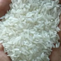 Basmati Rice Gujarat-17 Sona Masoori