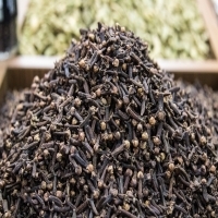 Ceylon Cloves