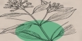 RTS Import Export Ltd logo