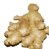 Ginger Extract