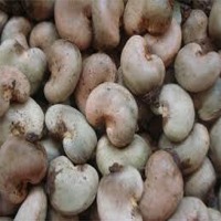 Cashew Nuts