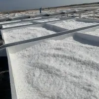 Crystals Of Sea Salt