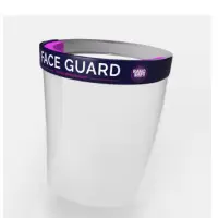 Raho Safe Face Guard (Pack of 4)