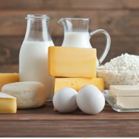 Cheese And Milk Products