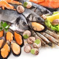 Fresh Seafood