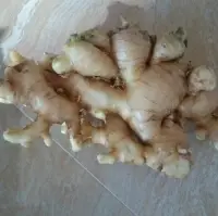 Fresh Ginger