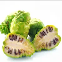 Fresh Noni Fruit