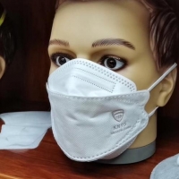 N95 Mask
