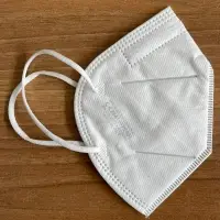 Disposable Face Mask FFP2