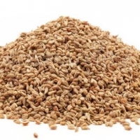 Carom (Ajwain) Seeds