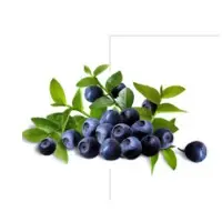 Fruits & Vegetable Powders