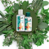 Hand Sanitizer