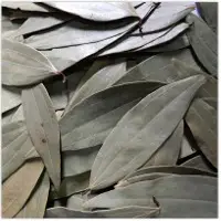 Bay Leaf