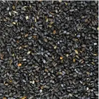 Sesame Seeds