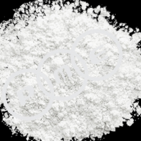 Wollastonite Powder