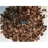Cashew Husk