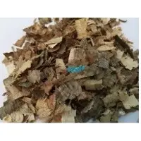 Mixed Wood Shavings