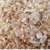 Pine Shavings