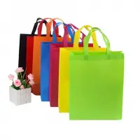 Non Woven Bag