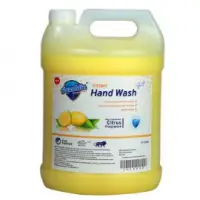 Hand Wash