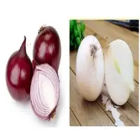 Fresh Red/White Onion