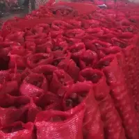 Red Onion